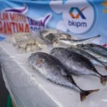 Bantuan Paket Ikan