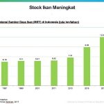 Stok ikan meningkat